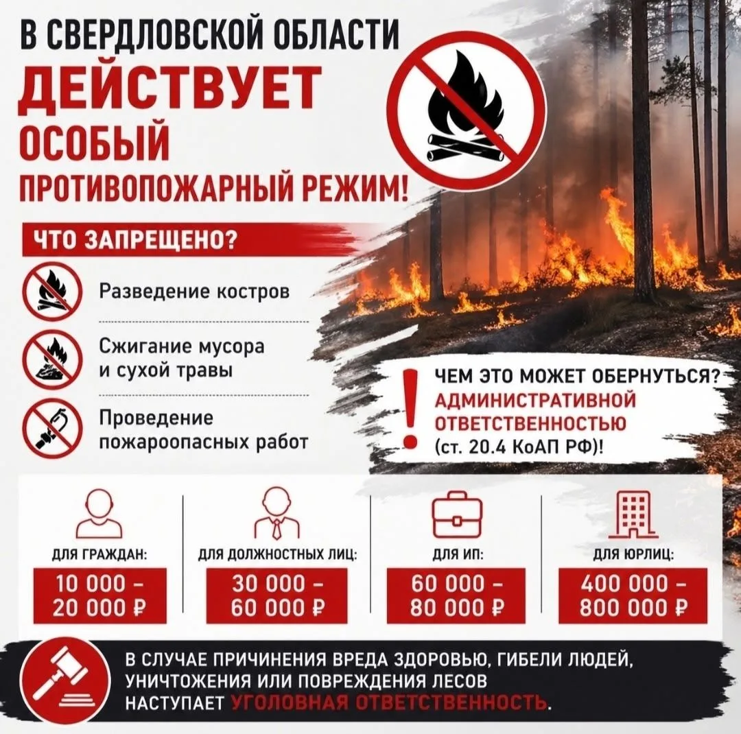 Особый противопожарный режим действует на территории Свердловской области с 25.04.2026....