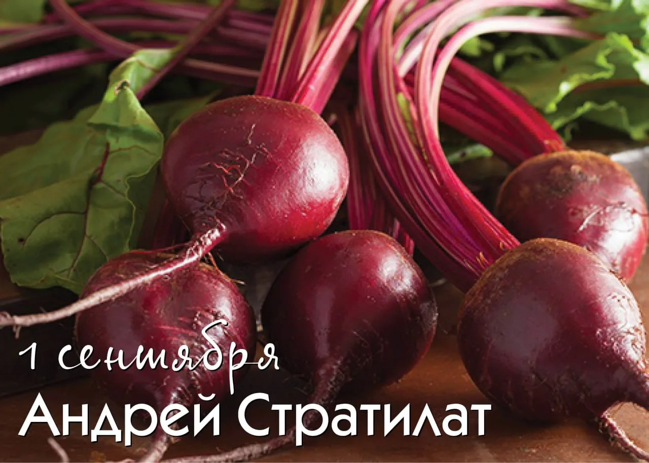 Народный календарь