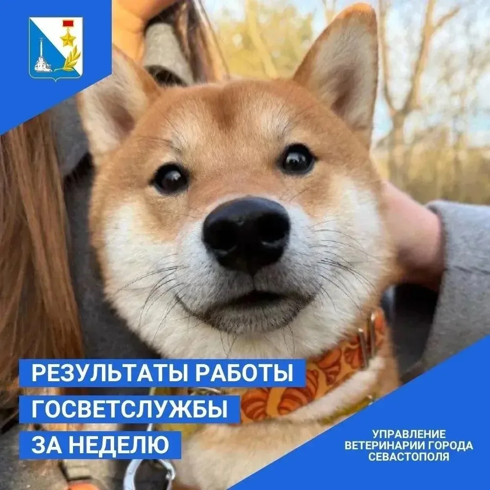 Итоги работы госветслужбы за прошедшую неделю