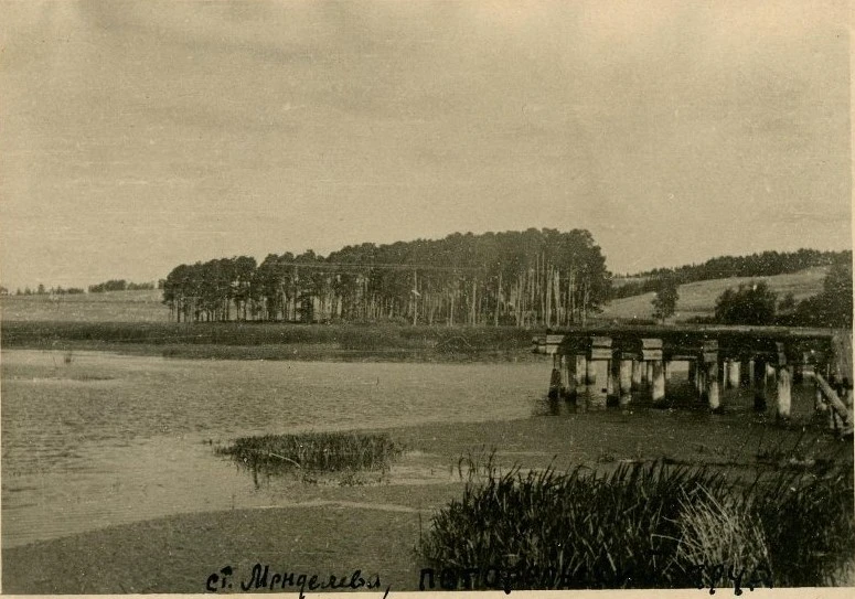 Ст. Менделеево. Погорельский пруд. 1942г. Ананьин Борис Дмитриевич (Фотограф)