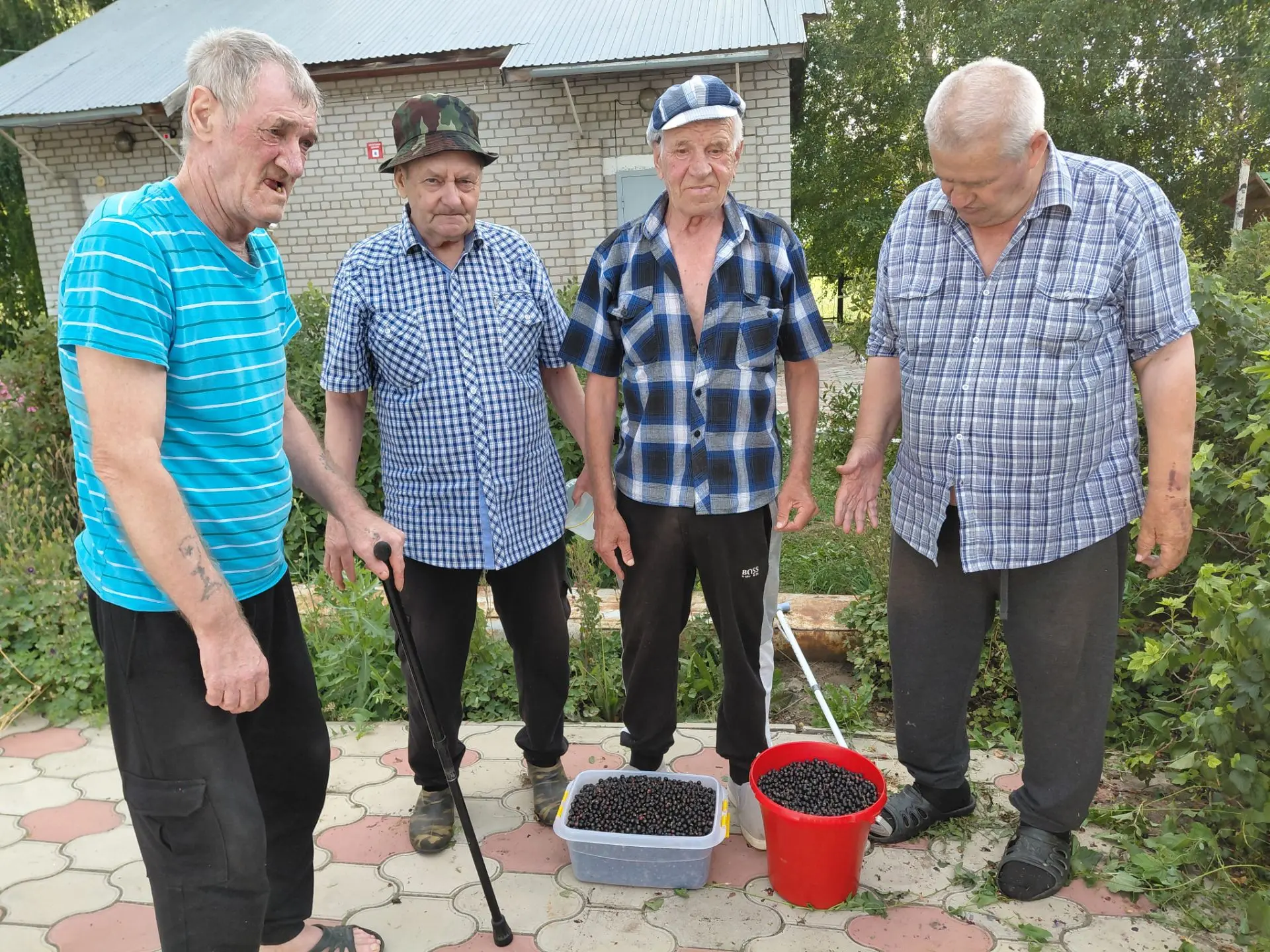 🌱 Черная смородина радует урожаем!

В саду Усть-Калманского дома-интерната в этом сезоне удивительн