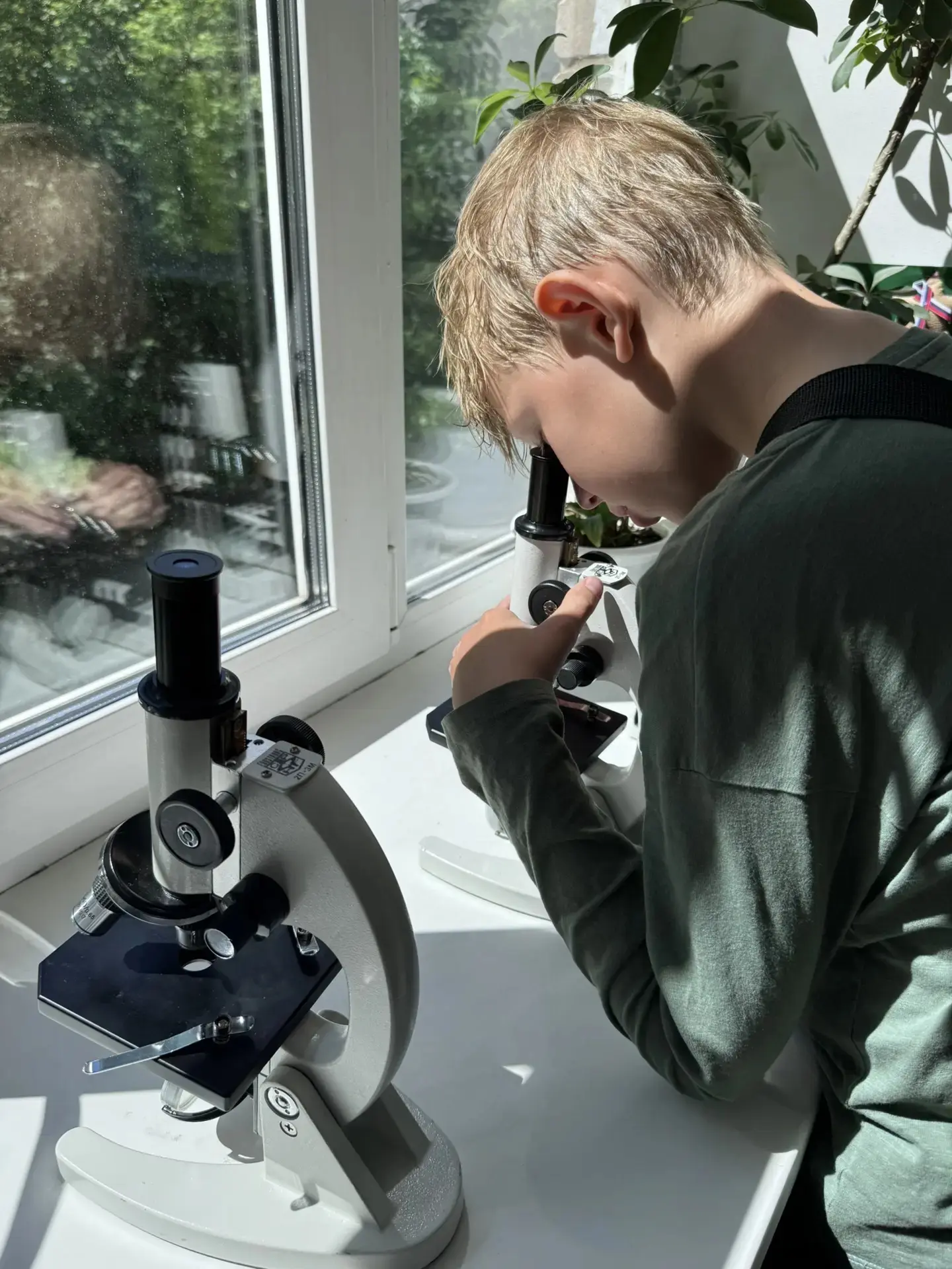 🔬Мир под микроскопом: Открытия юных исследователей в нашей школе✨️

Эта неделя ознаменовалась завер