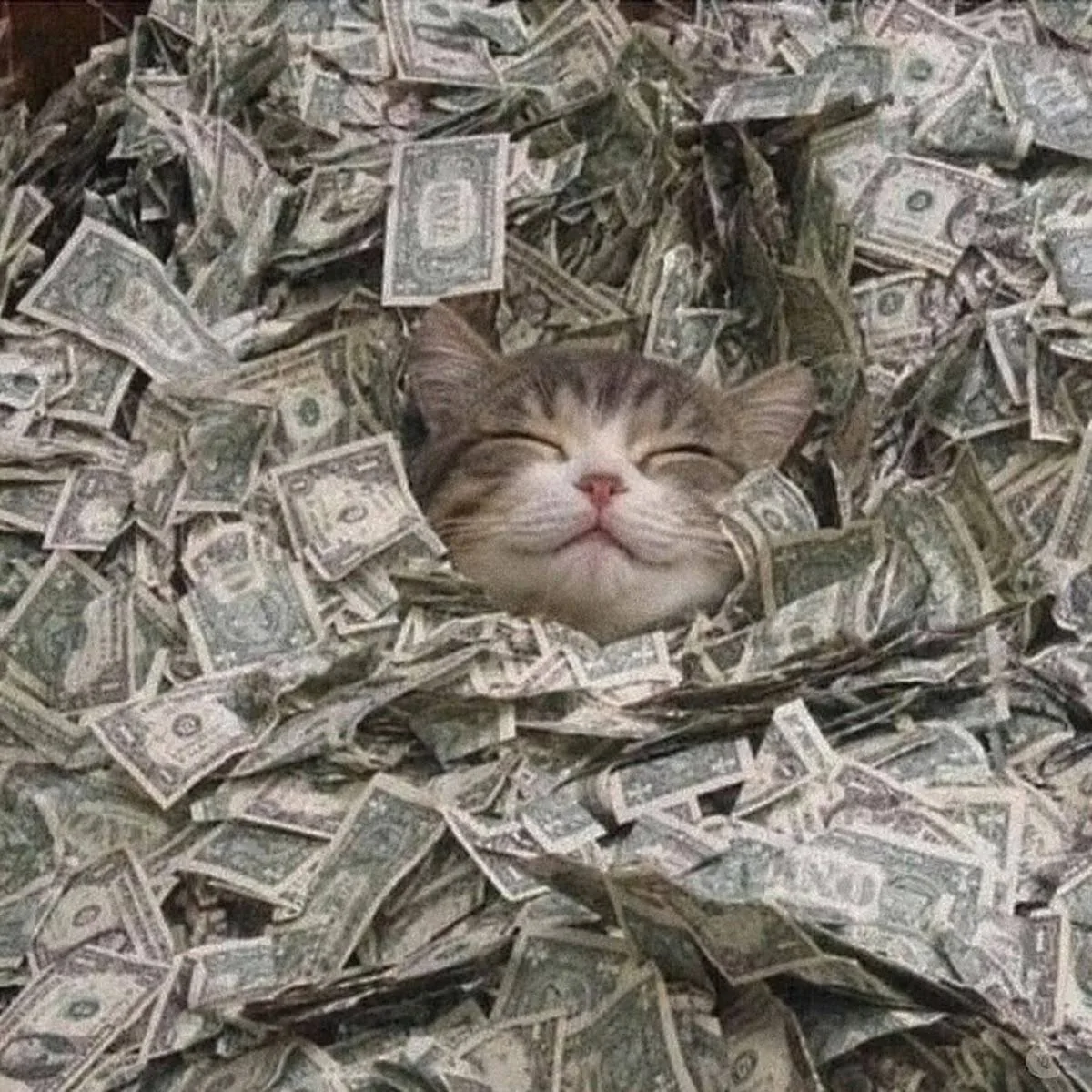 💸Рожденные 9, 18 и 27 числа обречены быть богатыми — нумерологи
