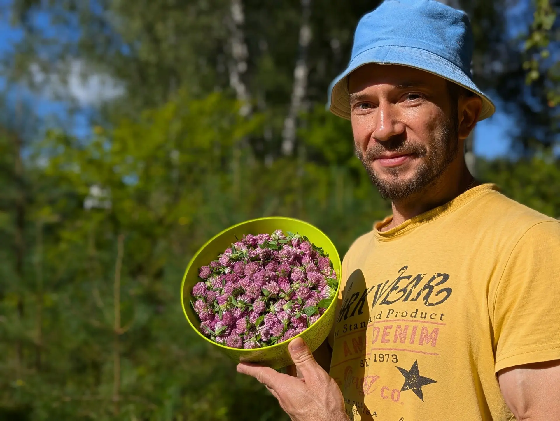 8 рецептов с Клевером - шум в ушах, сосуды, седина, женские, рассеянные склероз