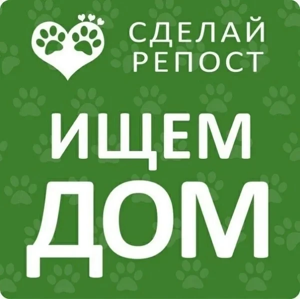 Осень близко, а значит, холода наступают…