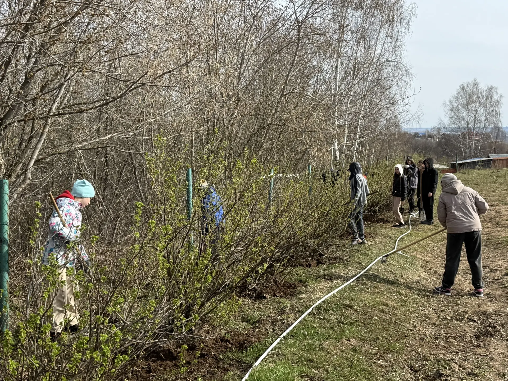 🌿 Сегодня продолжили субботник на территории школы — сделали ещё один шаг к чистоте и ...