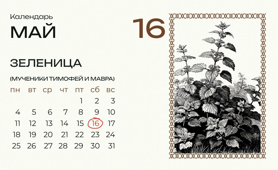 Сегодня Зеленица!  В этот день женщины травами занимались, особенно крапивой, из которой делали вени