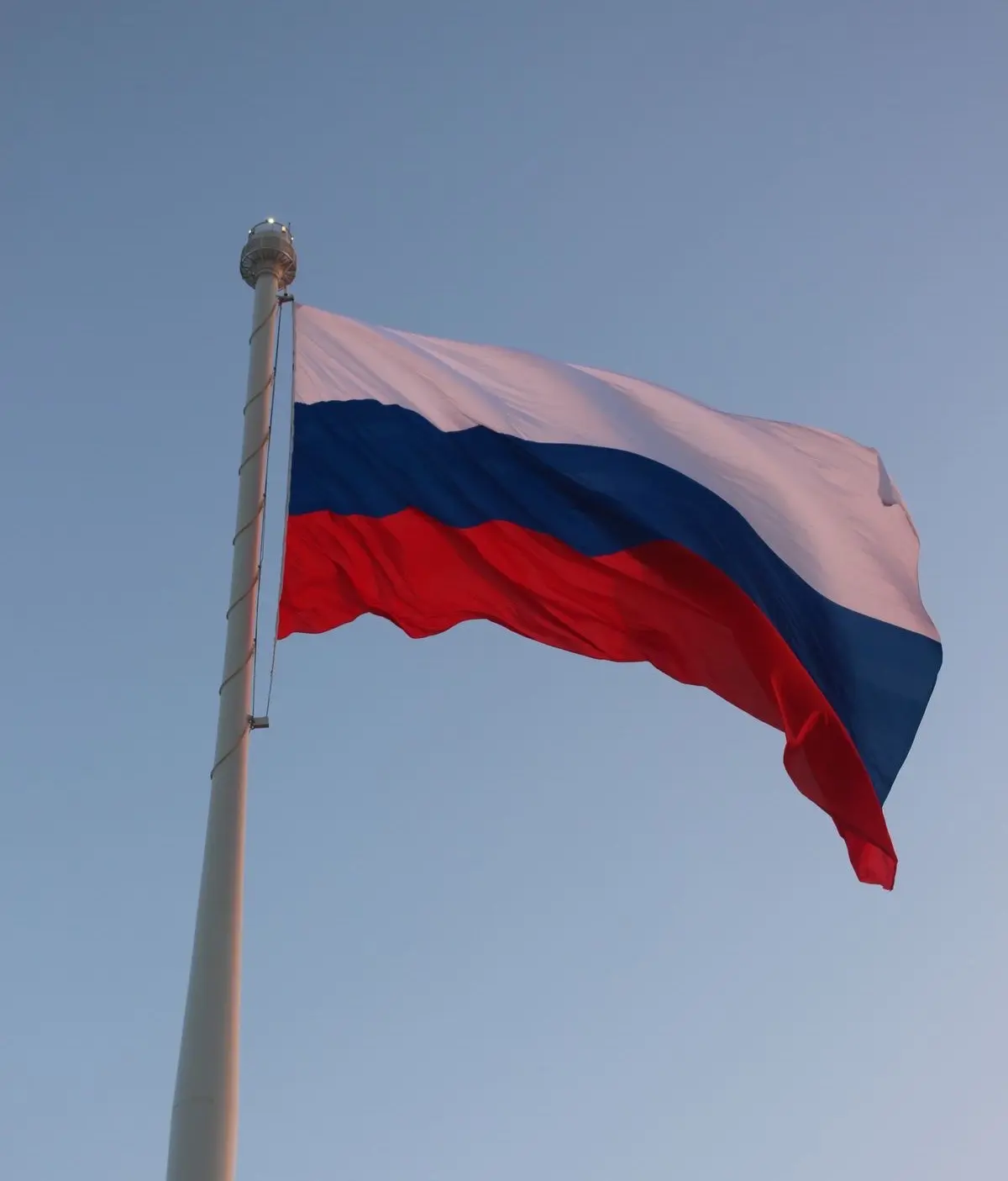 Сегодня, 22 августа, мы отмечаем День Государственного флага России! 🇷🇺