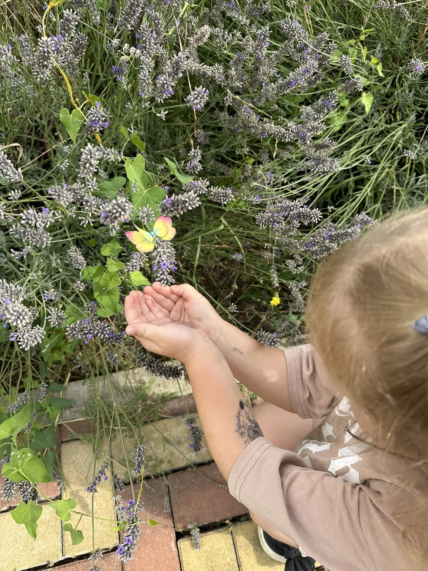 🌼🦋 День бабочек в средней группе! 🦋🌼

Сегодня у ребят прошел замечательный День бабочек🦋

Ребят