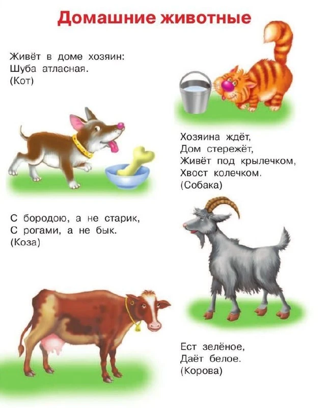 Наш канал в