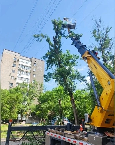 В Ростове на Западном обрежут зеленые насаждения и избавятся от аварийных деревьев

С понедельника, 