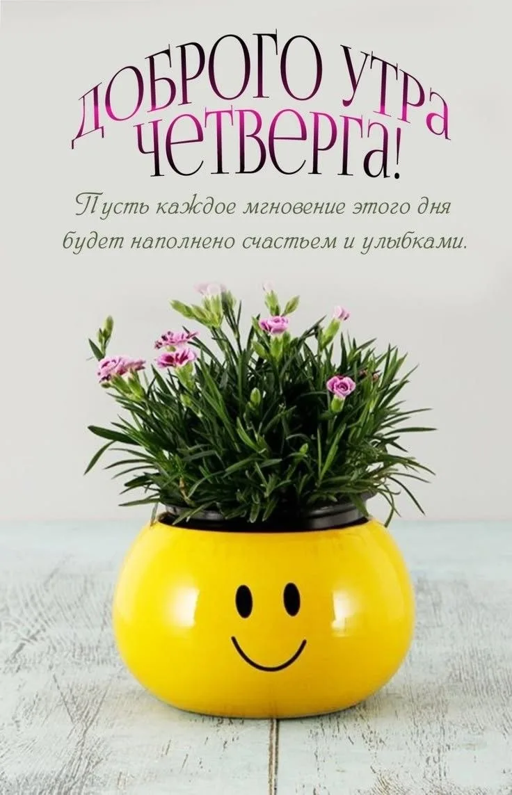 🥰Ставьте реакции и делитесь открыткой с близкими ❤️