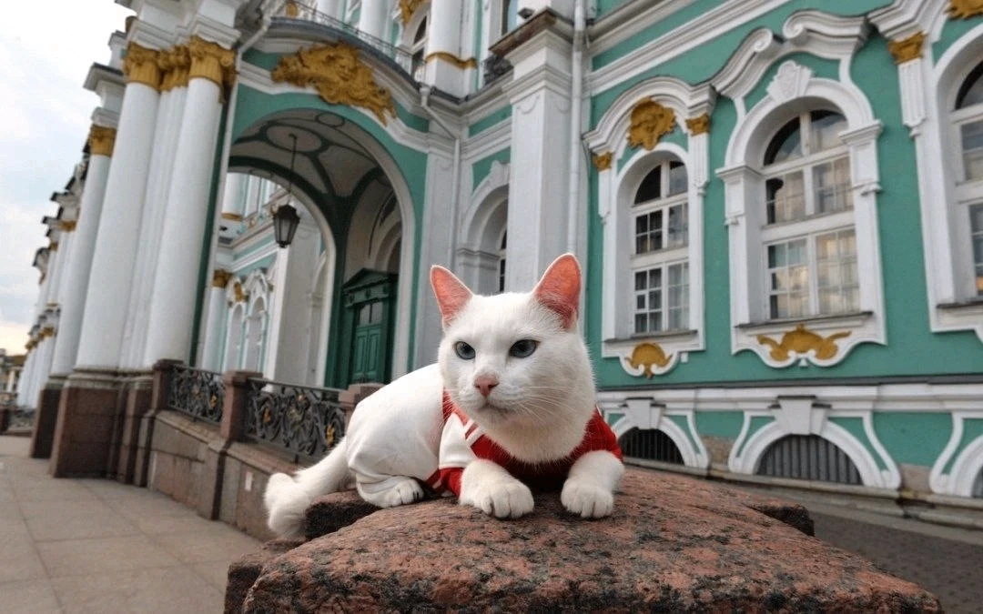 У эрмитажных котов есть своя строгая иерархия 🐈