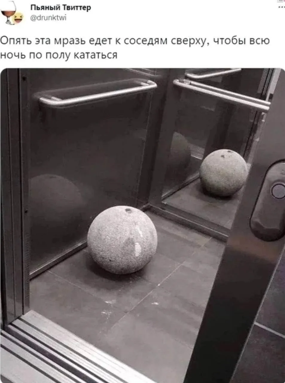 Милота/юмор/мем на ночь 🌙