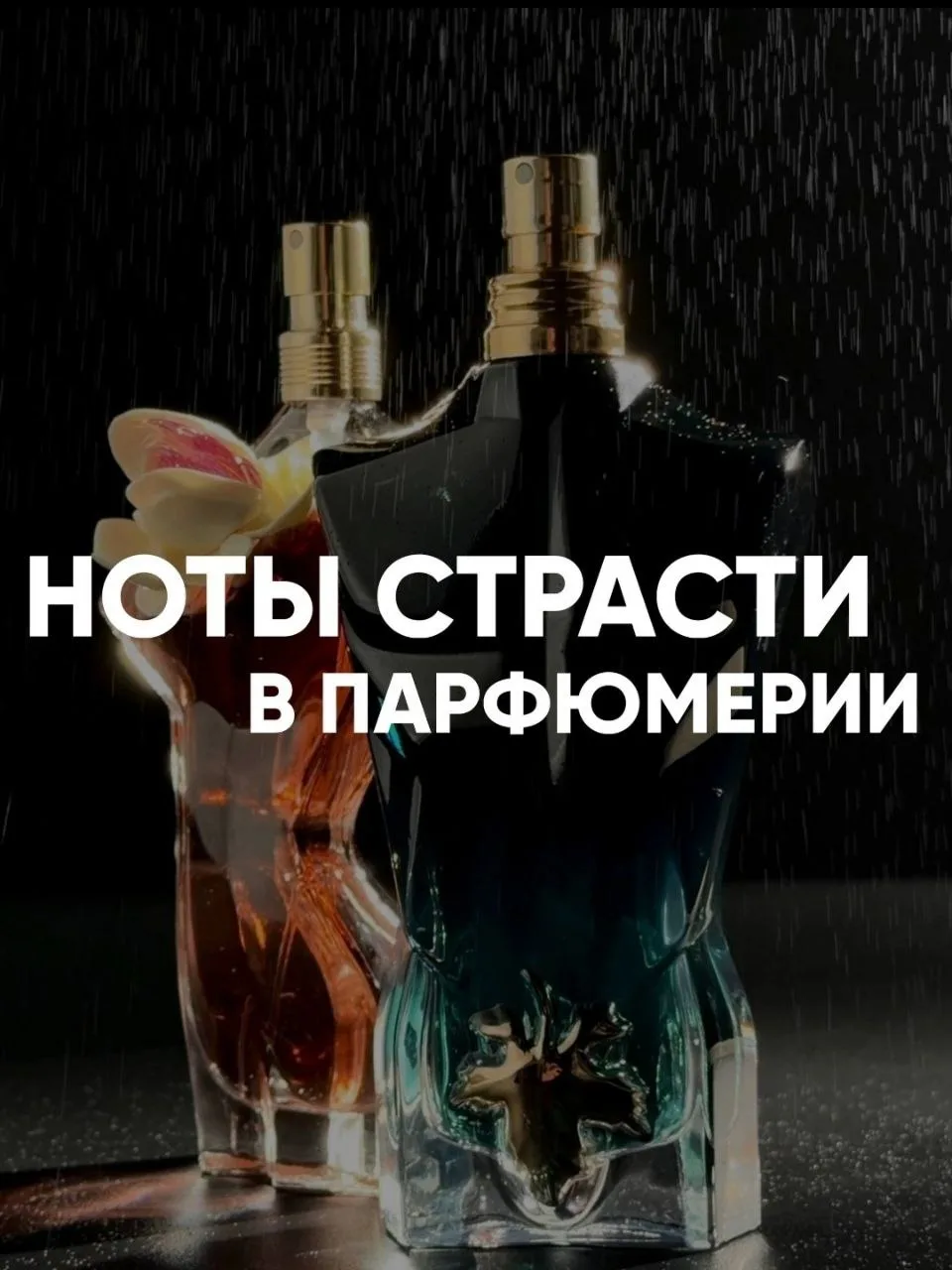 Парфюмеры используют их как главный инструмент притяжения...