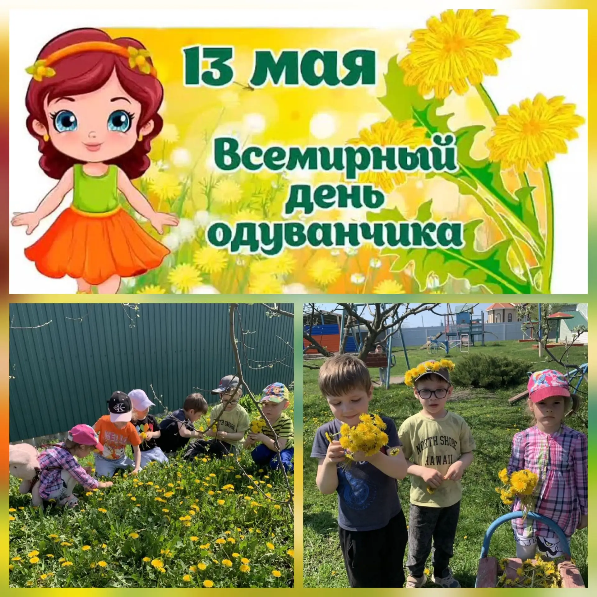13 мая отмечается Всемирный день одуванчика. Забавное растение, которое называют "кусоч...