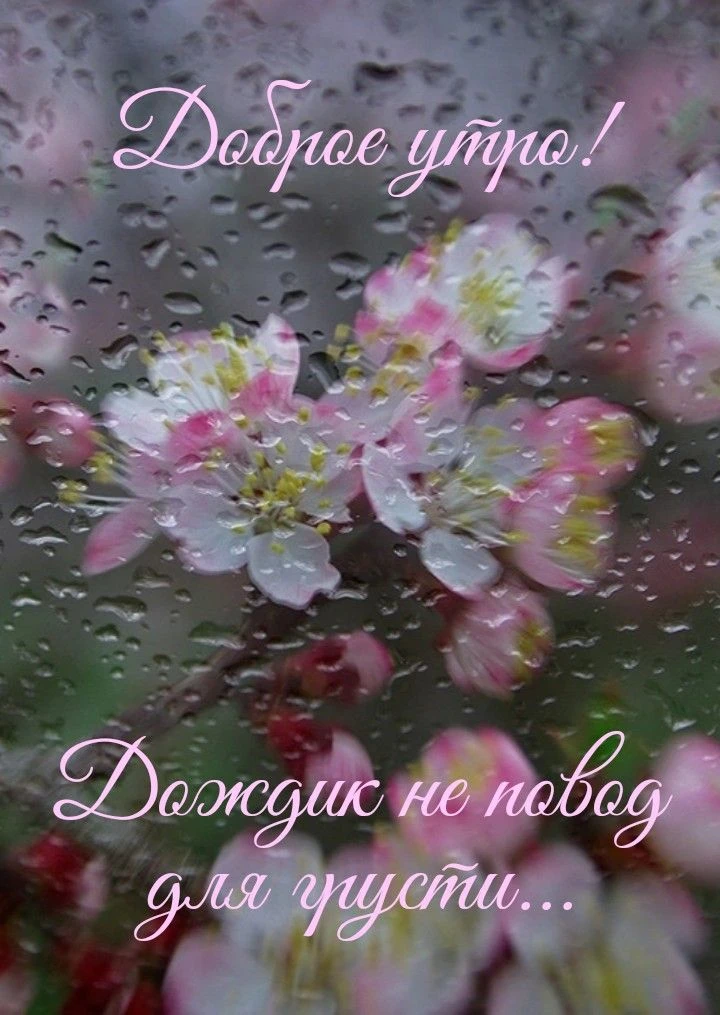 Доброе утро!