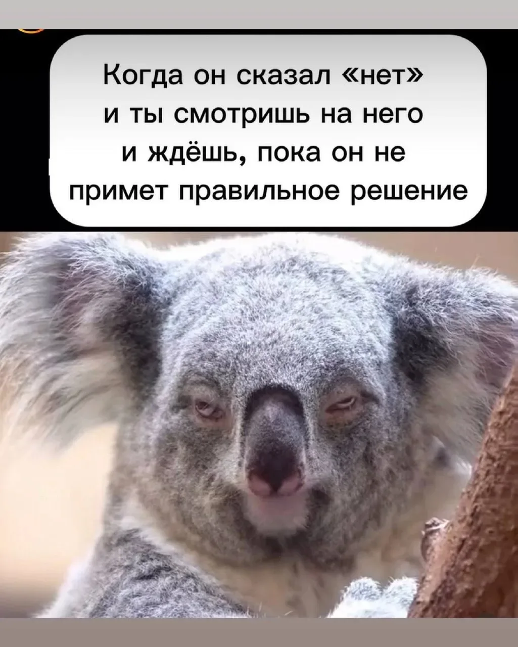 😁Православные тоже шутят - Позитивный канал, с доброй и душевной атмосферой.