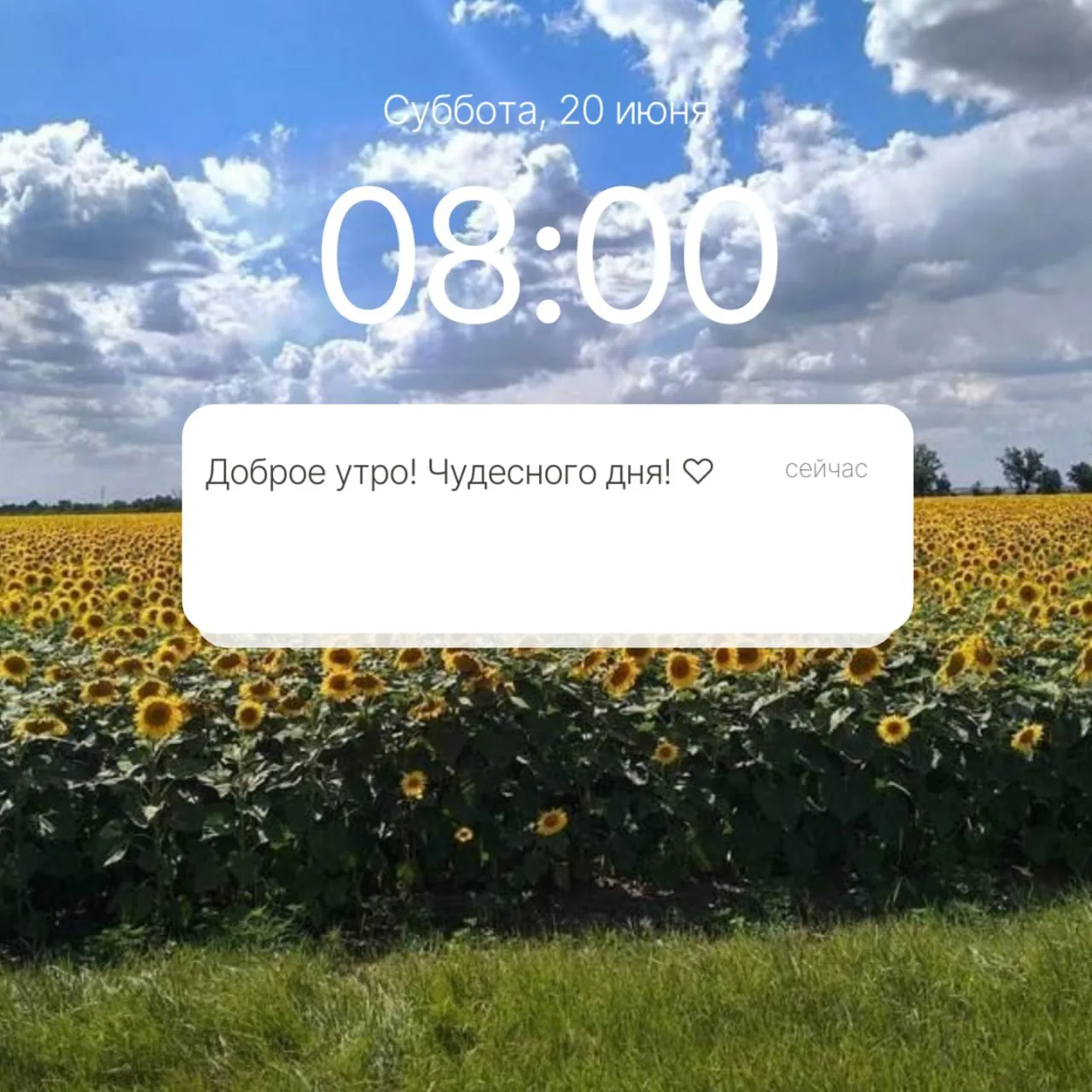 🌞Доброе утро, Гулькевичи!