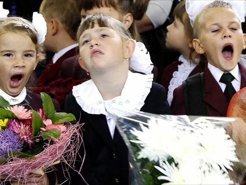 Целых 12 первых классов будут учиться в этом году в школе 131, что в микрорайоне «Цветы...
