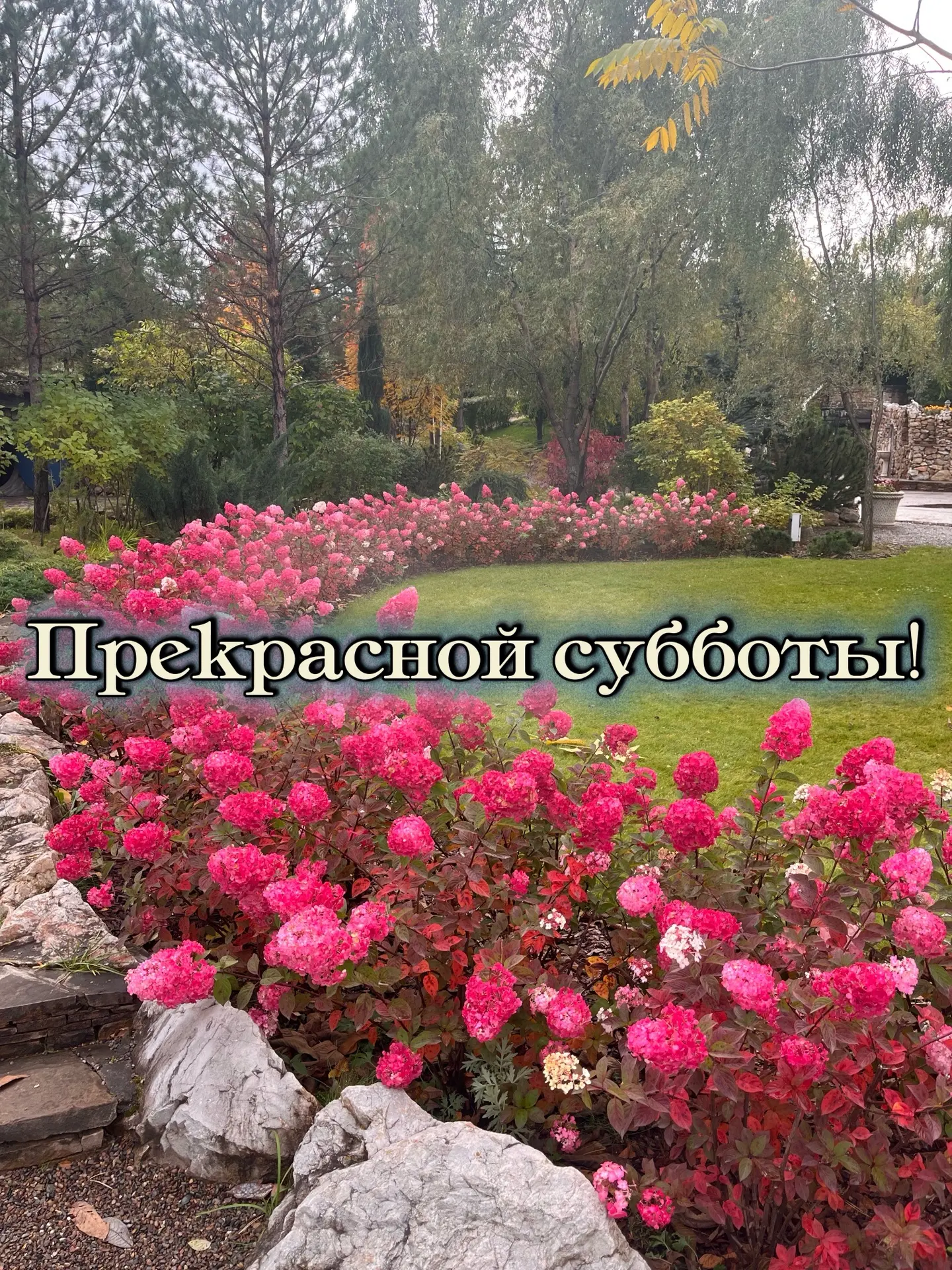 Доброе утро!