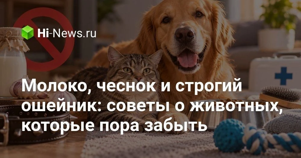 10 устаревших советов по уходу за домашними животными, которые пора пересмотреть