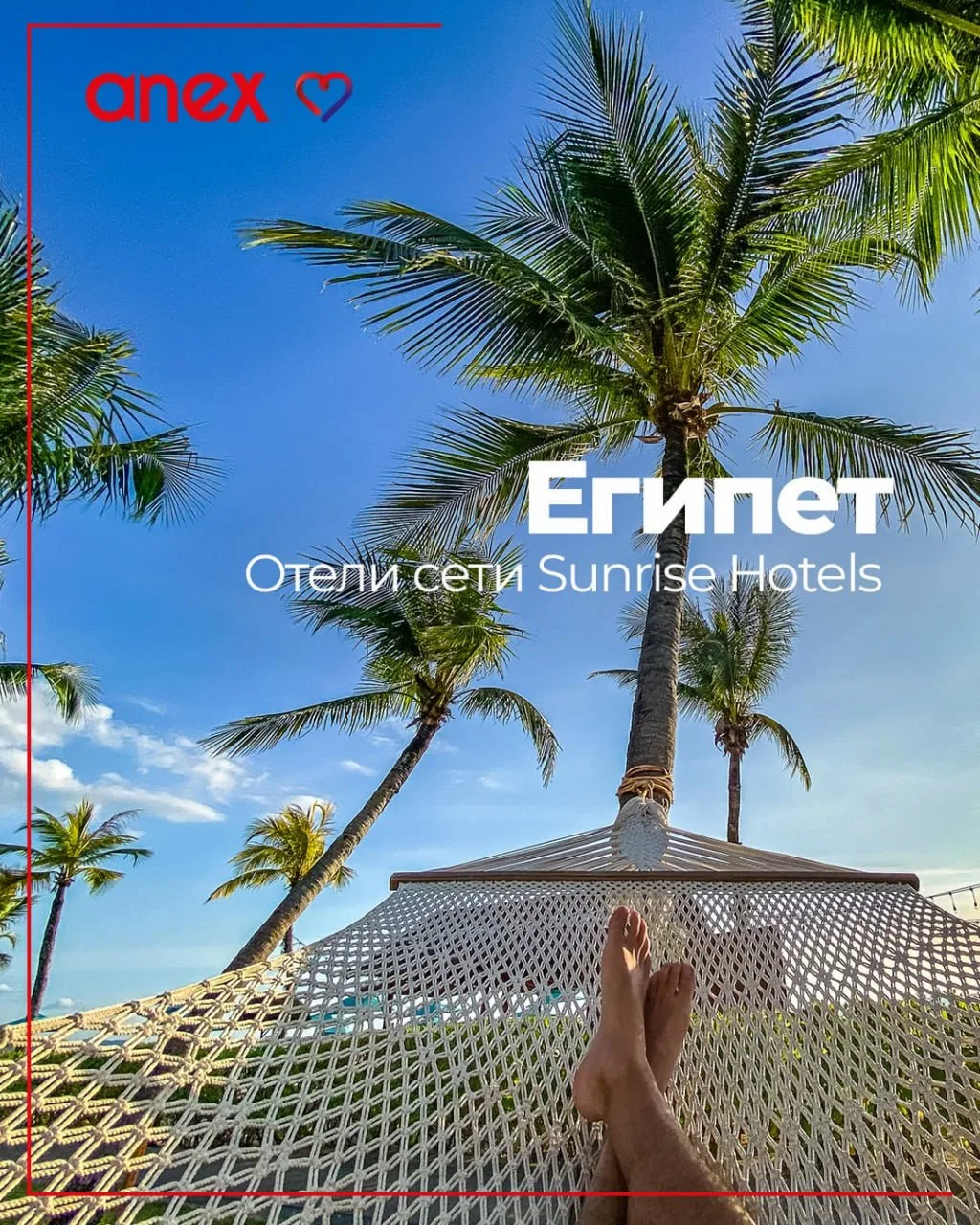 🏖 Отели Sunrise Resorts в Египте подойдут туристам, которые хотят добавить к пляжному ...
