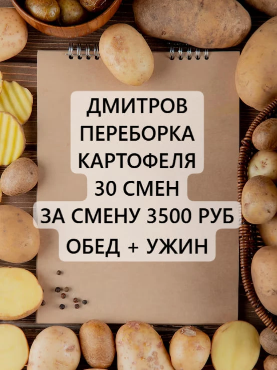 ✅ ПЕРЕБОРКА КАРТОФЕЛЯ ДМИТРОВ (✔️ставка 3️⃣5️⃣0️⃣0️⃣ руб ✔️питание 2 раза)

👥 ЗАЯВКА — 10 мужчин 🚹