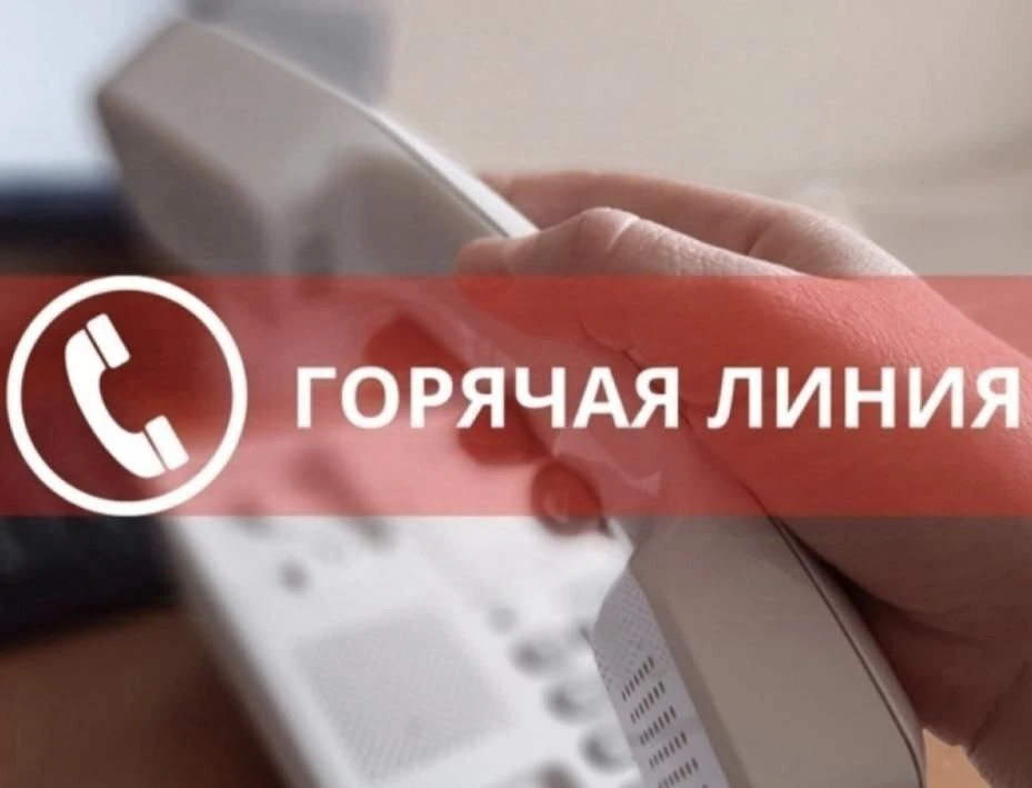 Открыта горячая линия