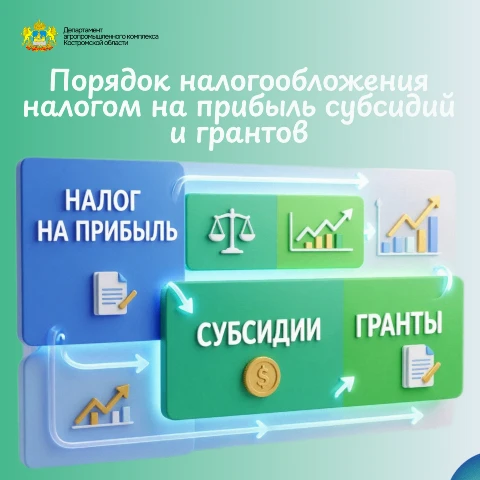 ФНС представила разъяснения по порядку учета субсидий и грантов для организаций, примен...