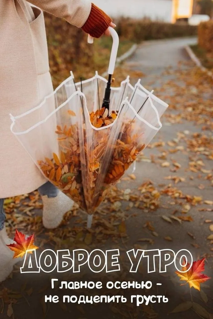 Доброго субботнего утра, друзья мои, я сегодня и завтра работаю, снова был только один ...