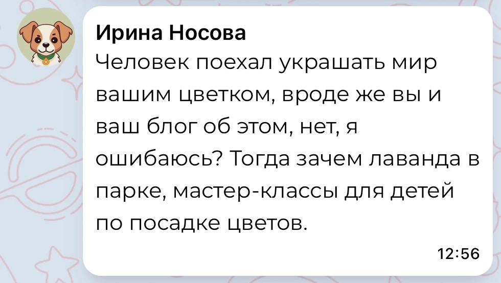 Ирина, мы вас поняли! Не приезжайте, пожалуйста, к нам 😁