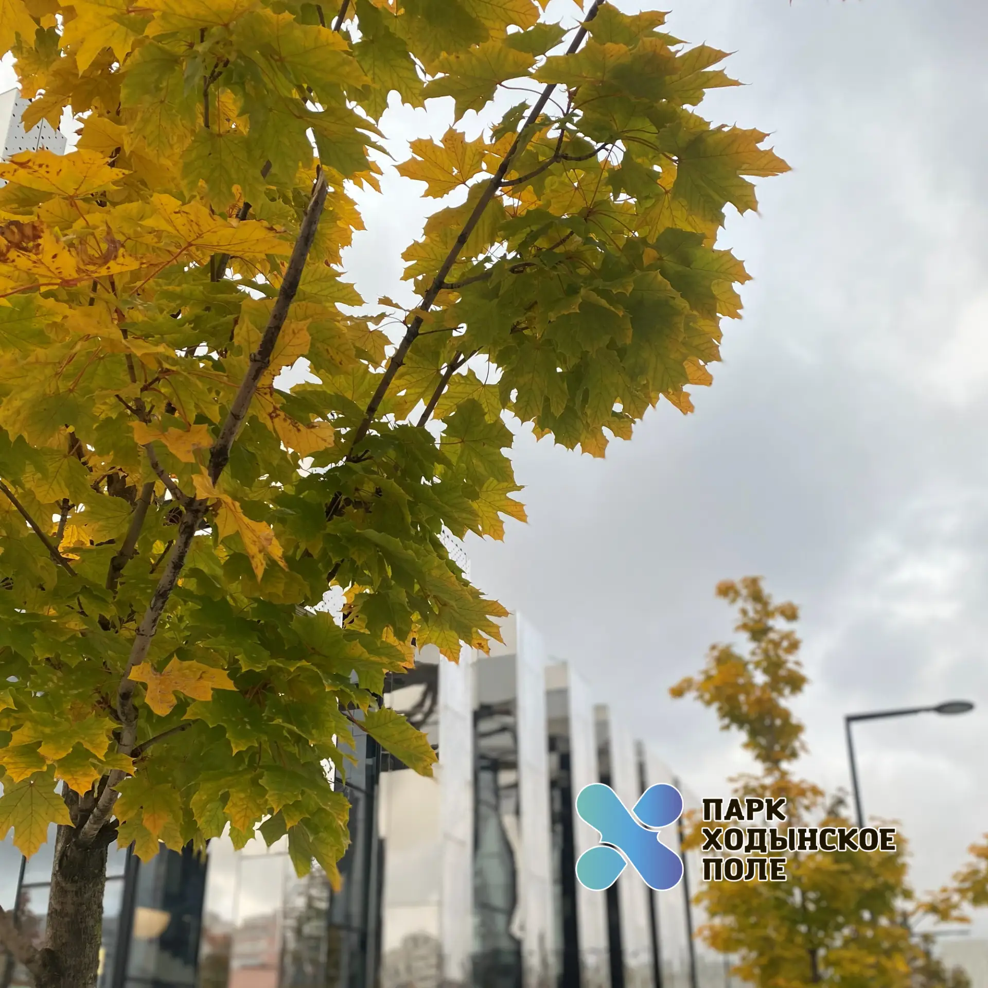 🍀Доброе утро!