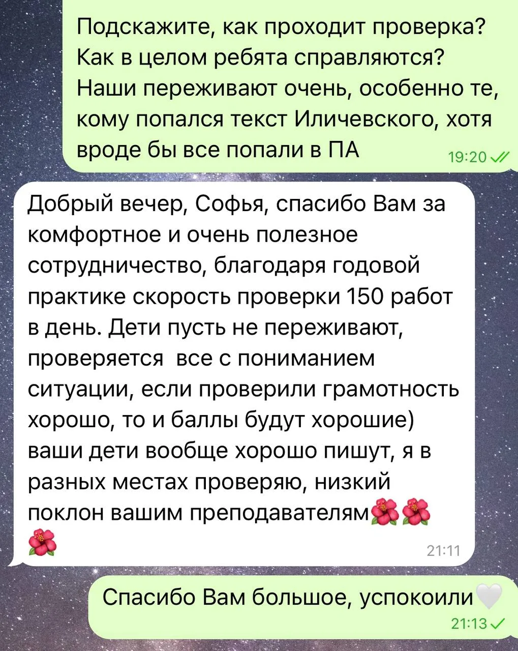 Эксперт о проверке сочинений🤍