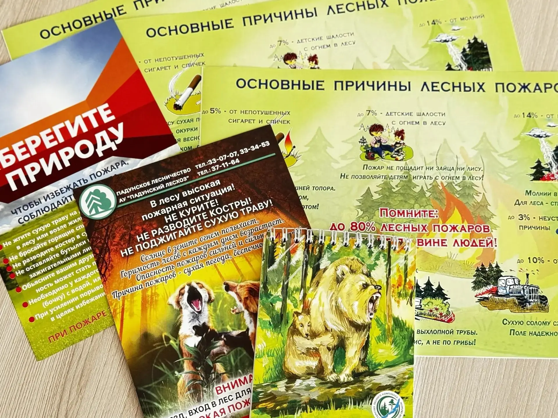 🌲 Встреча с лесным инспектором: важные правила безопасности