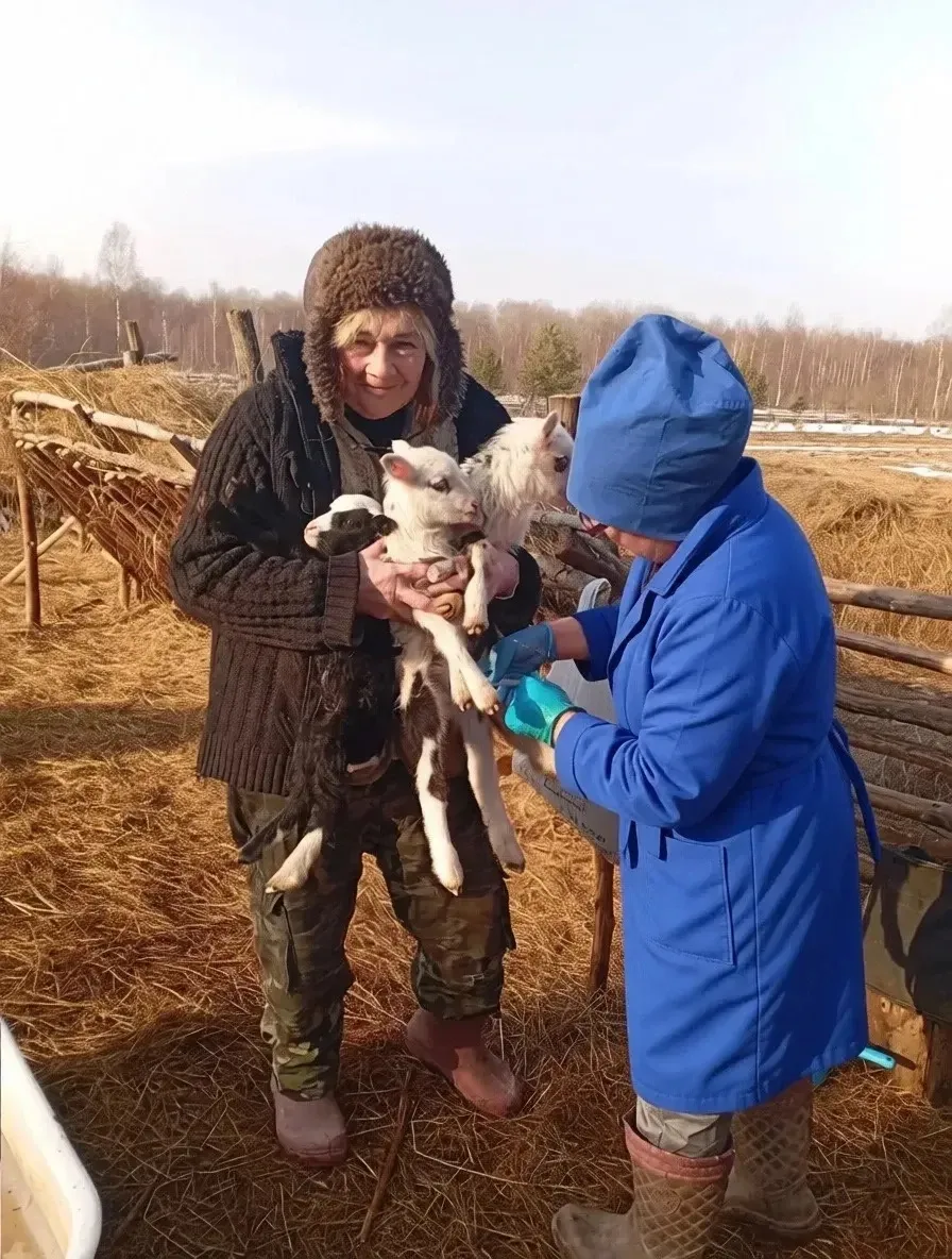 ✅ Витаминизация молодняка МРС❗️