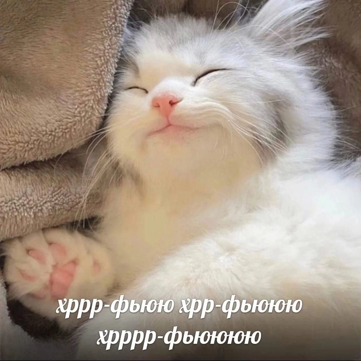 Ставь лайк! ❤️