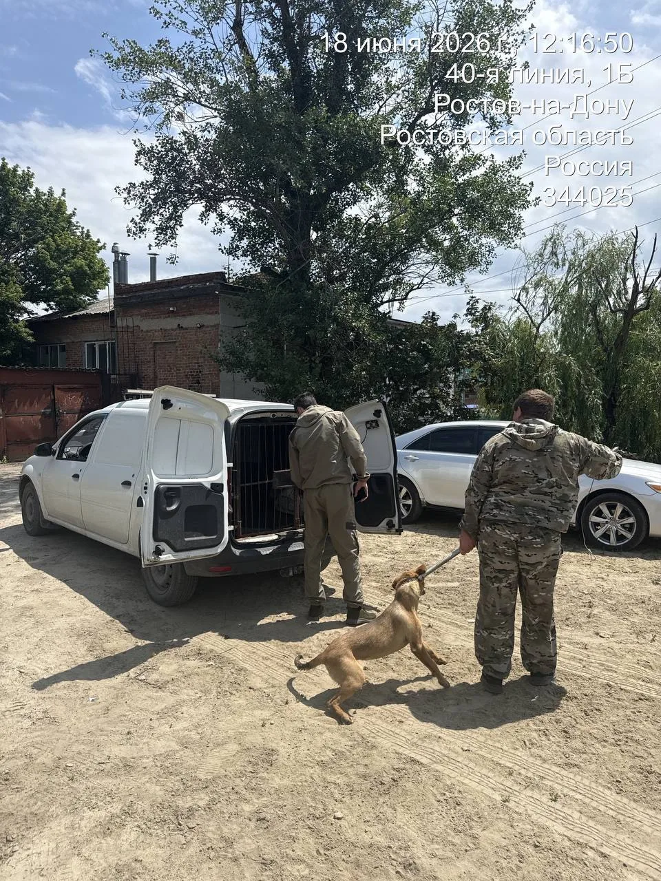 ❗️На территории Пролетарского района города Ростова-на-Дону специалистами сектора инспе...