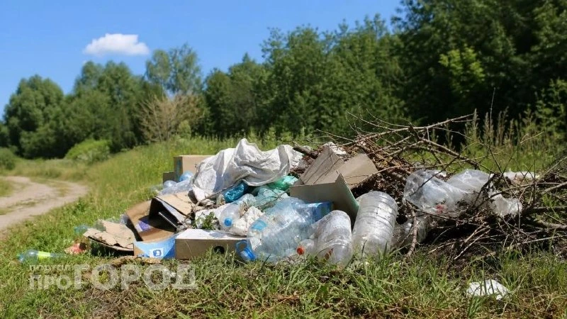 Жители Нижегородской области смогут жаловаться на заваленные мусором дворы через новый ...