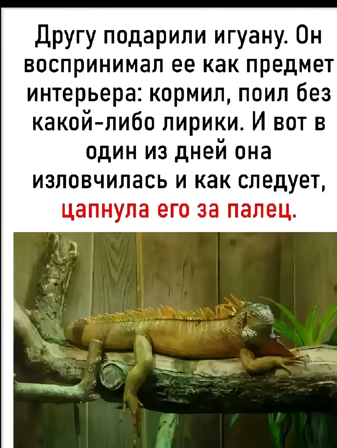 Веселая история 👍