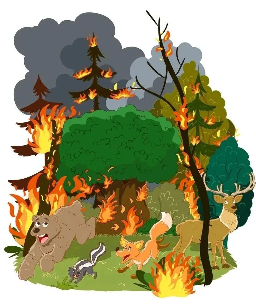 🔥Лесной пожар: что должен знать каждый школьник❓
Ребята, лес — это не просто место для прогулок, эт