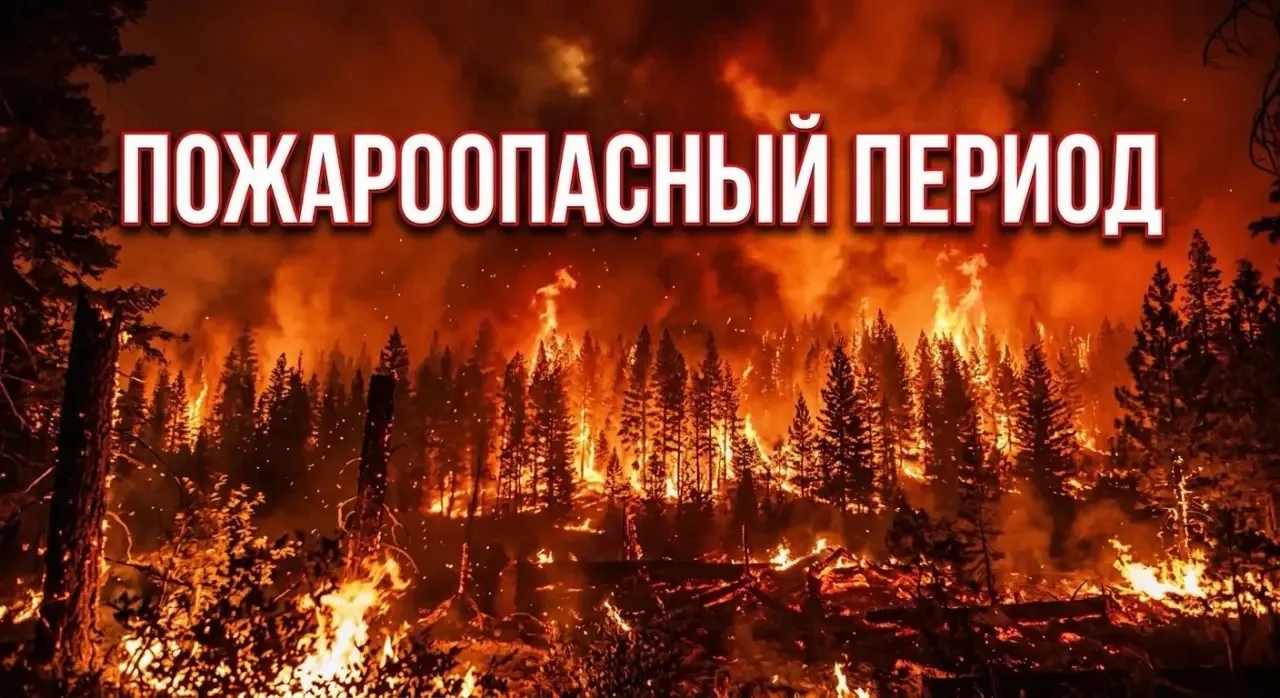 Уважаемые жители Читинского округа!