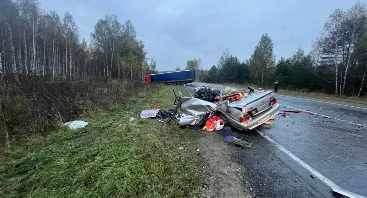 Два человека погибли в ДТП с грузовиком под Пителино