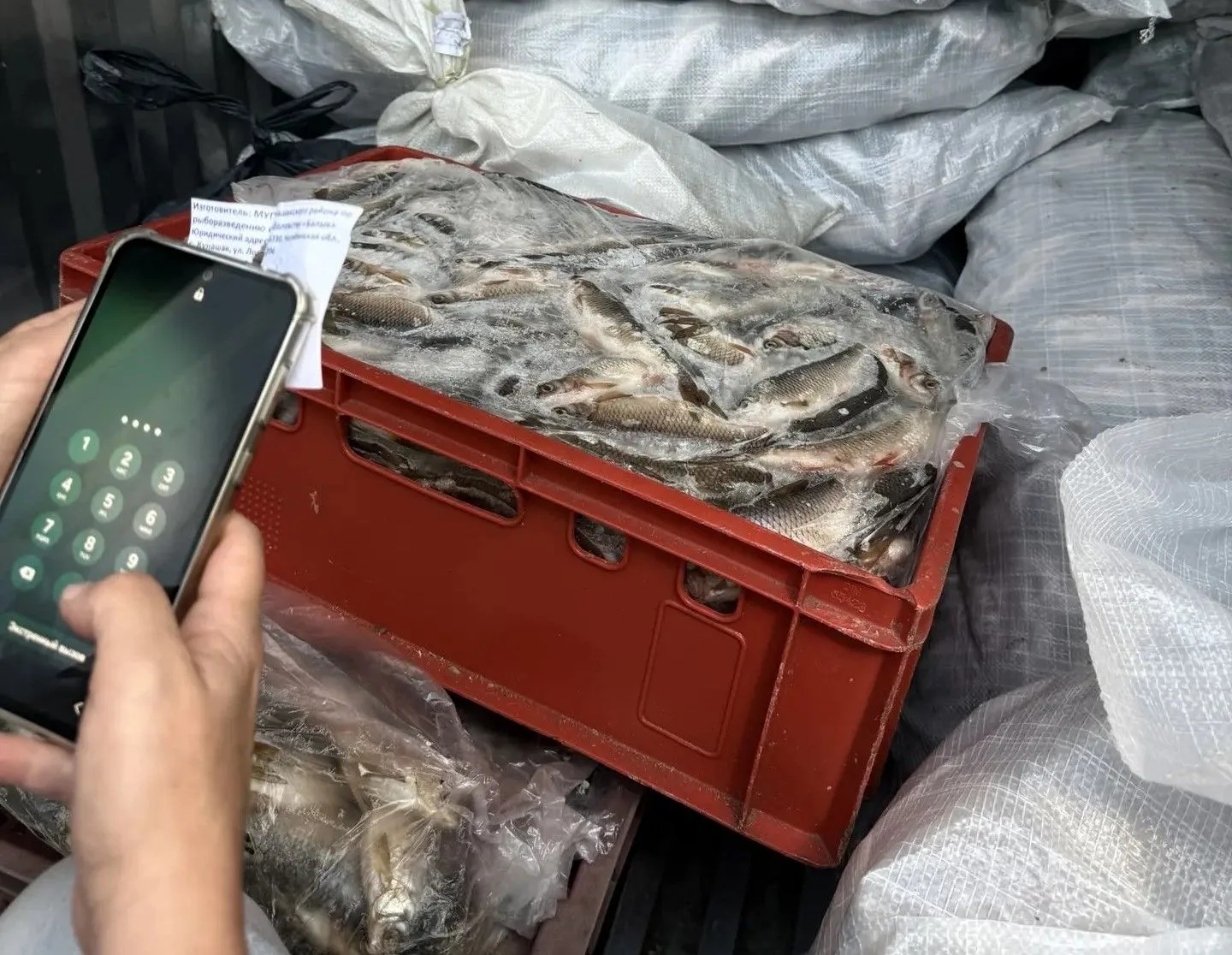 В ЧЕЛЯБИНСКОЙ ОБЛАСТИ РОССЕЛЬХОЗНАДЗОРОМ ОШТРАФОВАН ПРОИЗВОДИТЕЛЬ АКВАРЕСУРСОВ ЗА СИСТЕ...