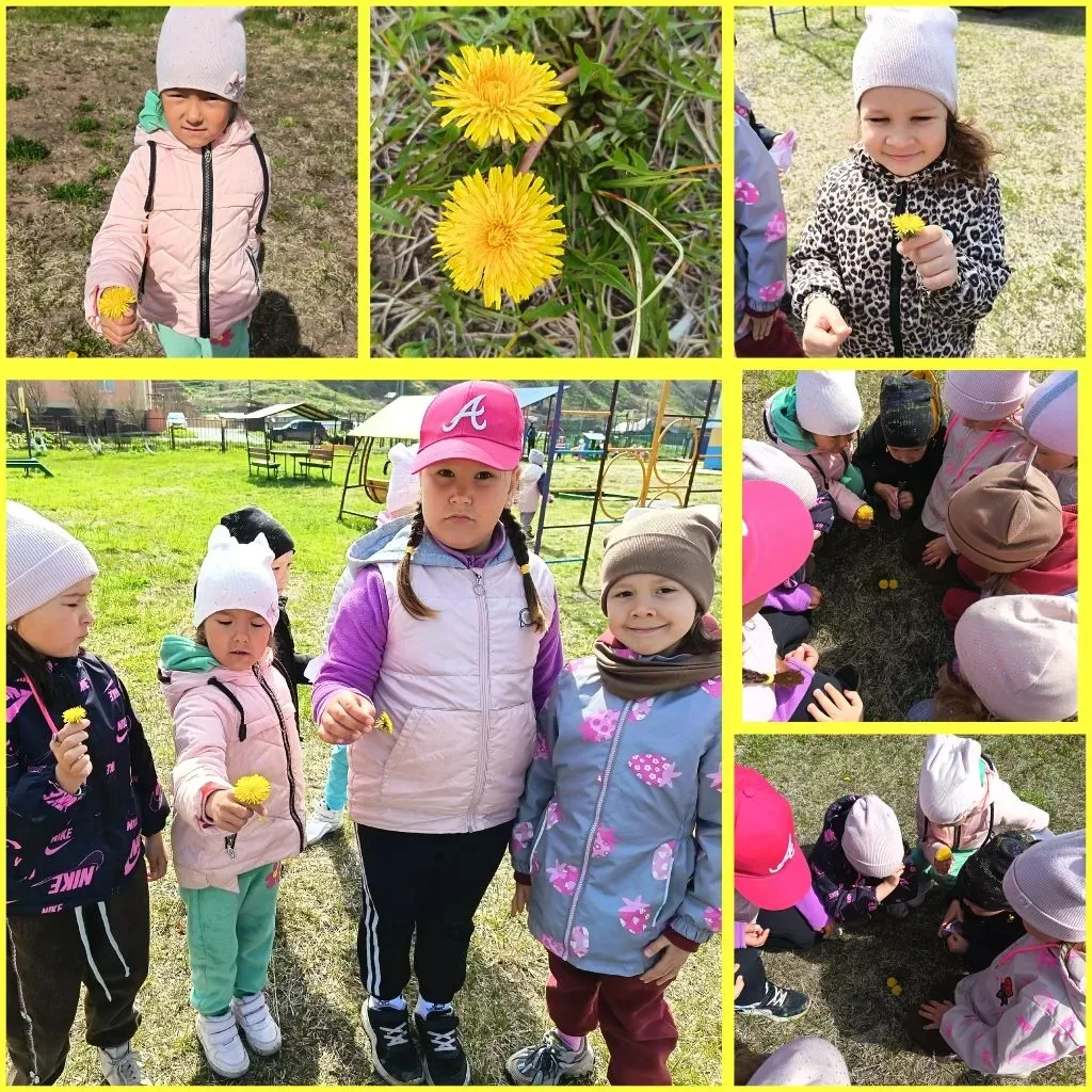 Группа "Сказка" 🌈🌞🌈