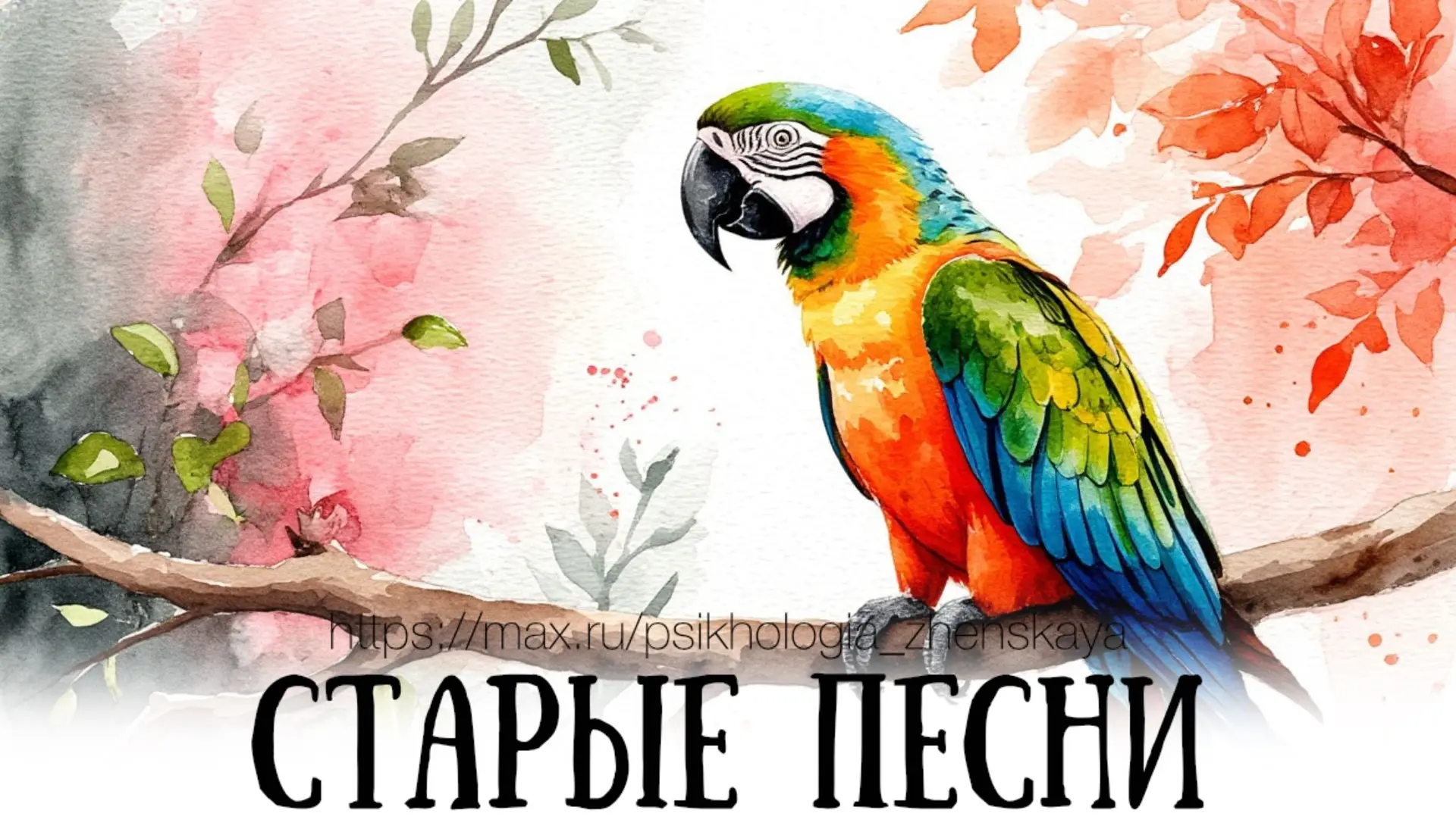Попугай вздрогнул и проснулся. Он с удивлением посмотрел правым глазом на человека и, с...