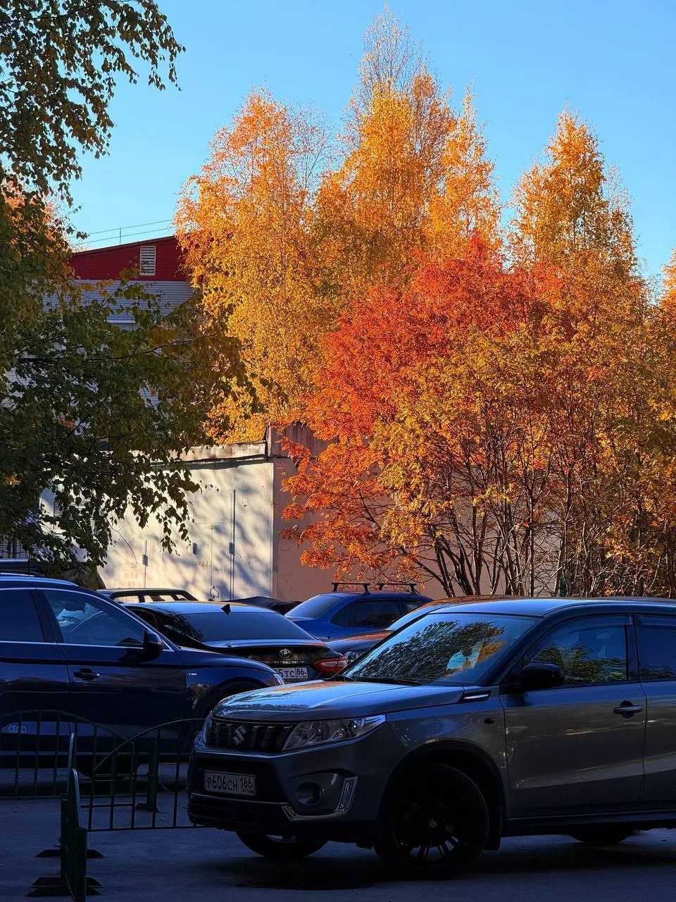 Сургутяне запечатлели уходящее бабье лето