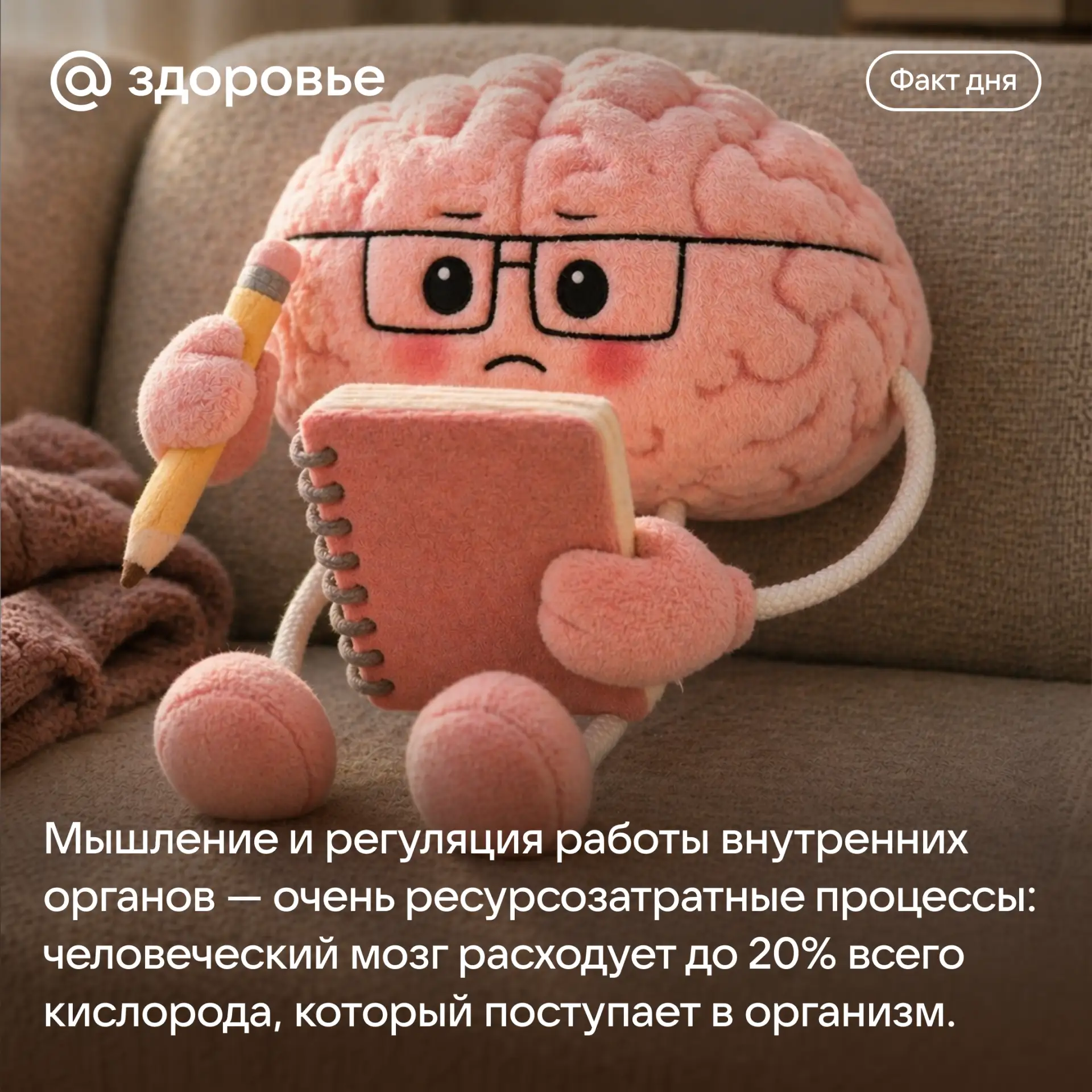 Хорошего дня! 🫶