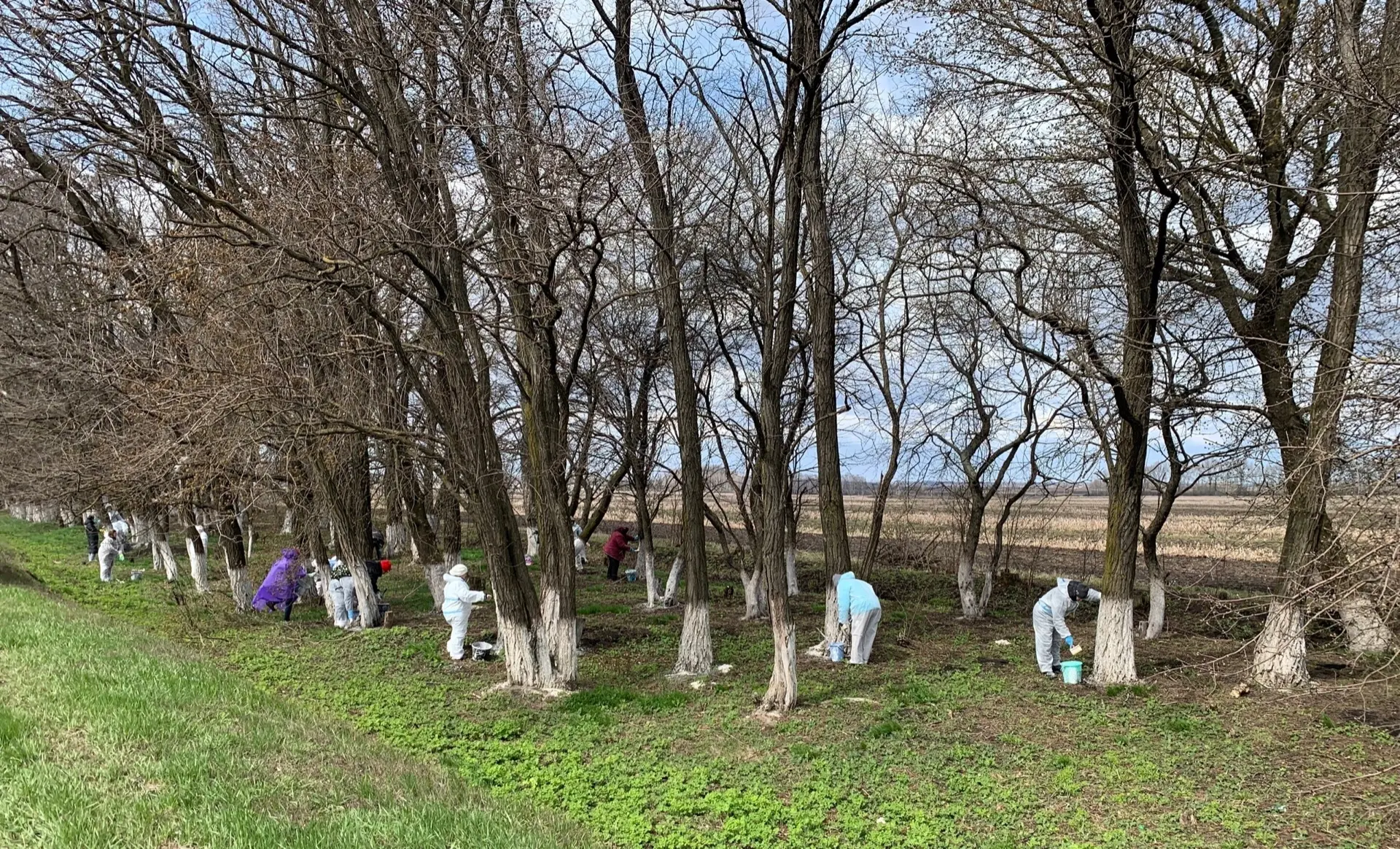🌷 Весна в Пристенском районе: чистота и красота благодаря общим усилиям! 🌷