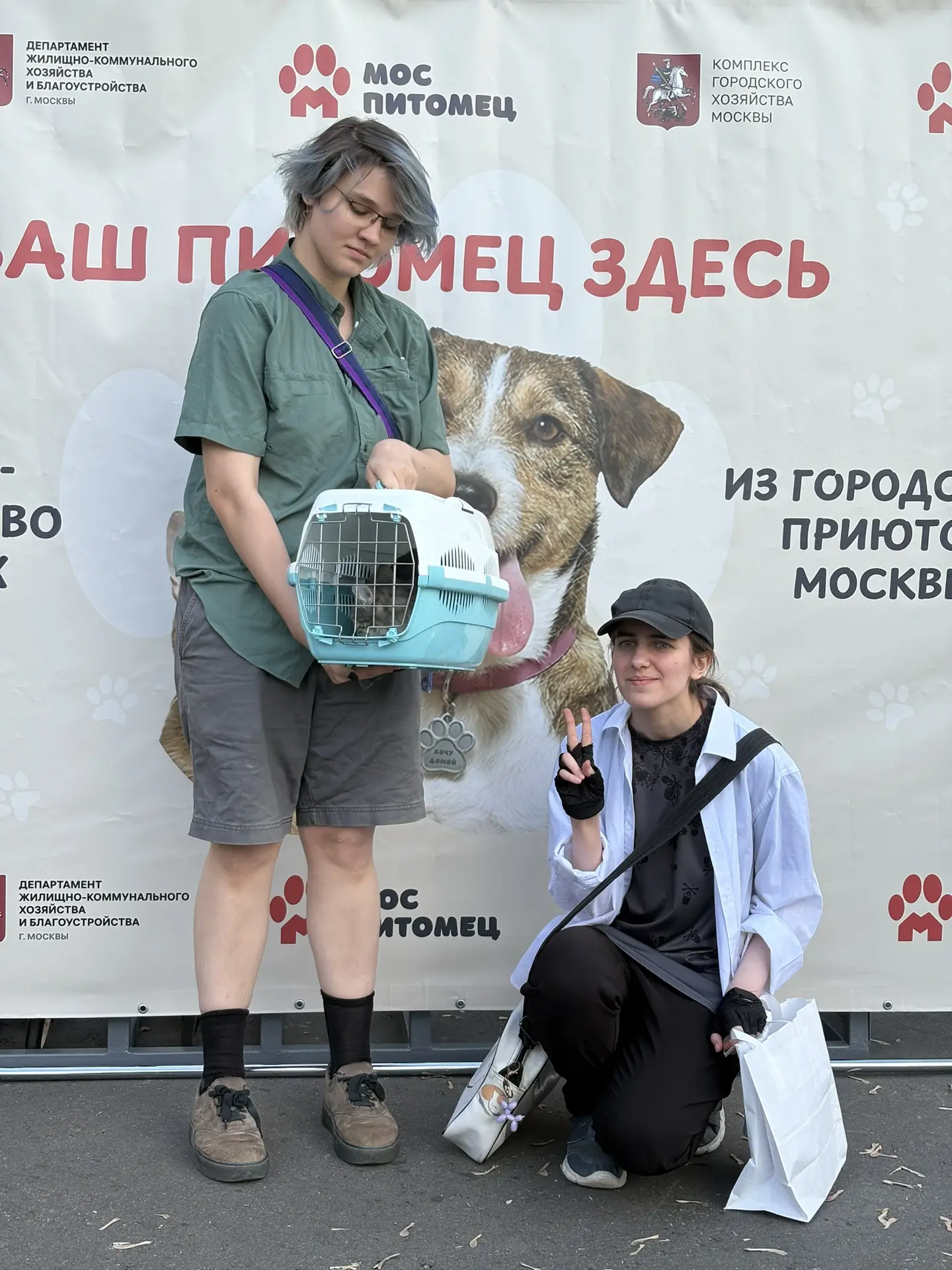 Три кошки и собака уже нашли дом на выставке-пристройстве животных на #ВДНХ  Мероприятие проходит ок